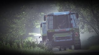 Repce aratás/Rape harvest  2020 /Claas Lexion 600 Terra Trac/John Deere 7210R,6520,6155M