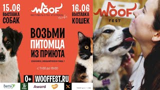 15.06.2024🐾 Выставка собак и кошек из приютов 🐕 ежегодный благотворительный фестиваль WOOF !