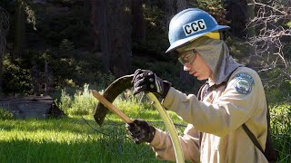 Ancient Tools, Corpsmember Muscle Restoring Meadow in Sequoia National Park