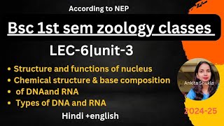 LEC-6|unit-3|BSc 1st sem zoology classes|Structure & Function of Nucleus, DNA, RNA and their types