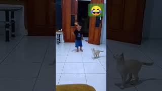 keseruan bermain dengan anak kucing yang lucu dan menggemaskan