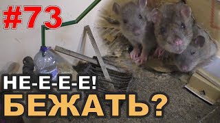 #73. Реалити Шоу “ALCARATZ“. ДОМ 2 - Крысы. Бежать?