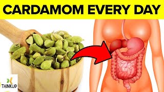 What Happens To Your Body When You Add Cardamom To Your Food Every Day