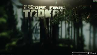 Tarkov'd