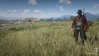 Red Dead Redemption 2 - Random view