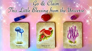 🌈🪐 The UNIVERSE Wants to GIVE You this BLESSING! 🍄🪐 Timeless Pick a Card Reading 🔮✨