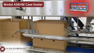 436HM Automatic Hot Melt Top Case Sealer