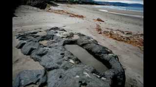 Sepultura Medieval de la Playa de Coto de Benquerencia (Barreiros - Lugo)