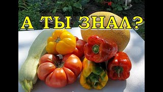 ПЛАН посева ОВОЩЕЙ  на 2024 год 🍅🍆🌽 (что и когда)