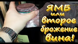 ВТОРОЕ БРОЖЕНИЕ ВИНА. / ЯМБ почему происходит и как этого избежать!