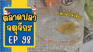 ทัวร์ตลาดปลาจตุจักร โซนลานเร่ EP 98 วันที่ 15 พ.ค. 67