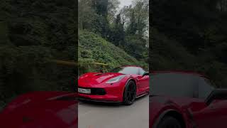 Какую выберешь ты? #corvette #c7 #c8 #corvettec7 #corvettec8