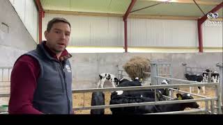 Old silage Pit To Modern Calf Shed