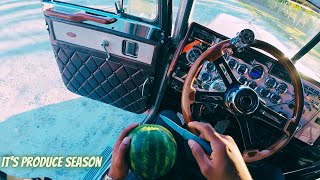 My first watermelon 🍉 load of the produce season | Produce farm in Lodge, SC | Peterbilt 379 CAT 6NZ