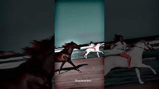 black vs white horse power,#youtubeshorts ,#horse ,#photography !!