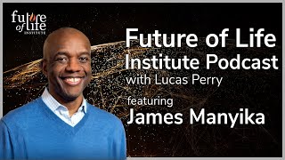 James Manyika on Global Economic and Technological Trends