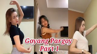 Goyang Pargoy VIRAL TIK TOK TERBARU