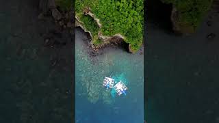 Apo Island Philippines 🇵🇭☀️⛵️#travel #philippines #apoisland