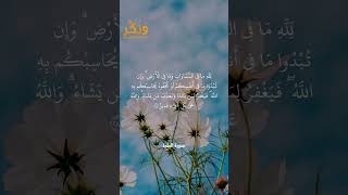 تلاوة جميلة من سورة البقرة الآية 284 بصوت القارئ مشاري راشد العفاسي #حالات #فولو #quran #shorts