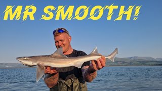 SMOOTH HOUND FISHING UK | How to catch a smooth hound | Menai strait