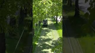 Tram tracks in Helsinki