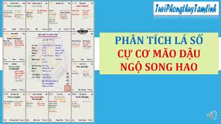 PHÂN TÍCH LÁ SỐ CỰ CƠ MÃO DẬU NGỘ SONG HAO, CÓ NHIỀU YẾU TỐ GIẢM TRỪ