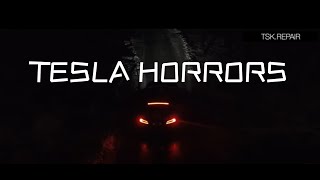 TESLA HORRORS