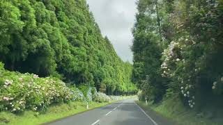 De met hortensia's omzoomde wegen van Terceira - 26 juli 2023