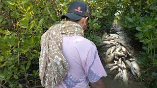 GAK USAH MANCING, Ribuan Ikan Dilaut Keluar, Ternyata Karena Alasan Ini