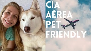 VIAGEM COM O PET NO PORÃO | CIAS AÉREAS