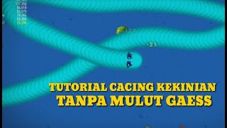 CACING KEKINIAN ALASKA TANPA MULUT | WORMS ZONE || TUTORIAL