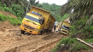 Sudah gak ada pilihan , Pabrik sudah tutup, tapi angkutan sawit belum terkondisikan