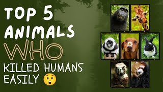 Top 5 Animals Who Killed Humans Easily Watch This Video