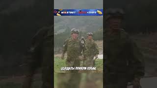 Эта невинная собака спасла жизнь своему хозяину 🥺