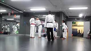 Taekwondo Class