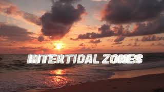 Intertidal Zone Behind CMI