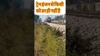 ट्रेन इंजन से किसी को डर नहीं। train engine।locomotive।#trainengine #train #3phaseloco #railwayupdat