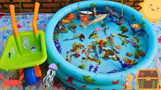 ANIMALS FOR TODDLERS: RED GURNARD, OCTOPUS, EUROPEAN PERCH, LEAFY SEA DRAGON, AND OTHERS