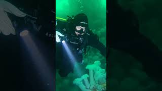 HMCS Saskatchewan | Incredible Shipwreck Scuba Dive