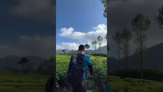 Gunung Kencana nya sih gak tinggi, tp jalurnya lumayan panjang. Dan tanjakan akhirnya sedap! #shorts