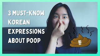 3 Must-Know Korean Idioms/Proverbs about Poop (똥) 💩