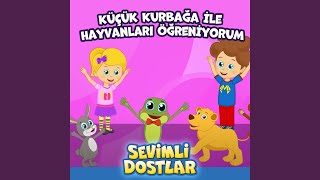 Küçük Kurbağa ile Hayvanları Öğreniyorum