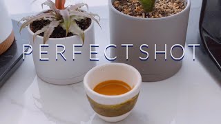 Perfect espresso shot