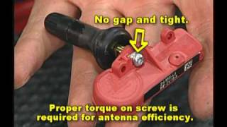 Schrader-Bridgeport Air Aware Ford Banded Sensors by All Tire Supply