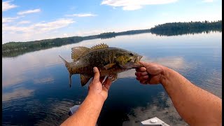 Spring Bass, Wabigoon Lake, 2021.