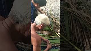 Kênh cùng bà con Bến Tre tìm hiểu về sâu đầu đen #võ_quang_sơn #coconut #shortvideo