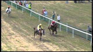 Ballingarry Races 2011.mp4