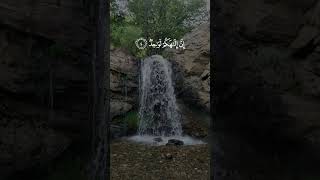 Daily Quran Recitation | Surah As-Saffat Verses 1-7 #shorts #quran #nature #islam