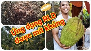 Chia sẻ ứng dụng RLD vào nông nghiệp