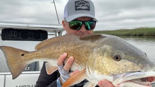 I found the redfish HONEY HOLE…